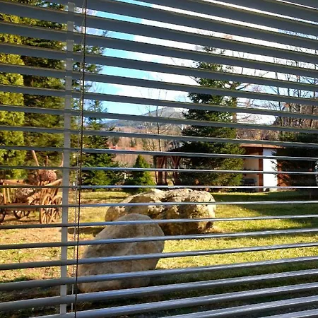 Bardzo Goscinne * 卡尔帕奇