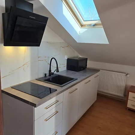 Bardzo Goscinne 民宿 卡尔帕奇